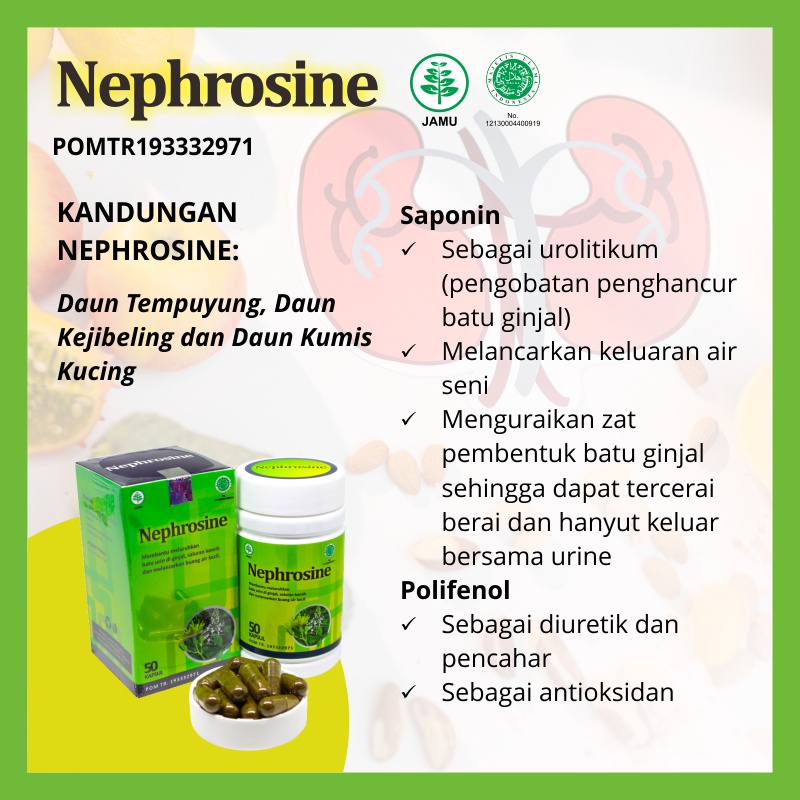 NEPHROSINE Naturafit / Membantu Menghancurkan Batu Urin di Ginjal - Original BPOM