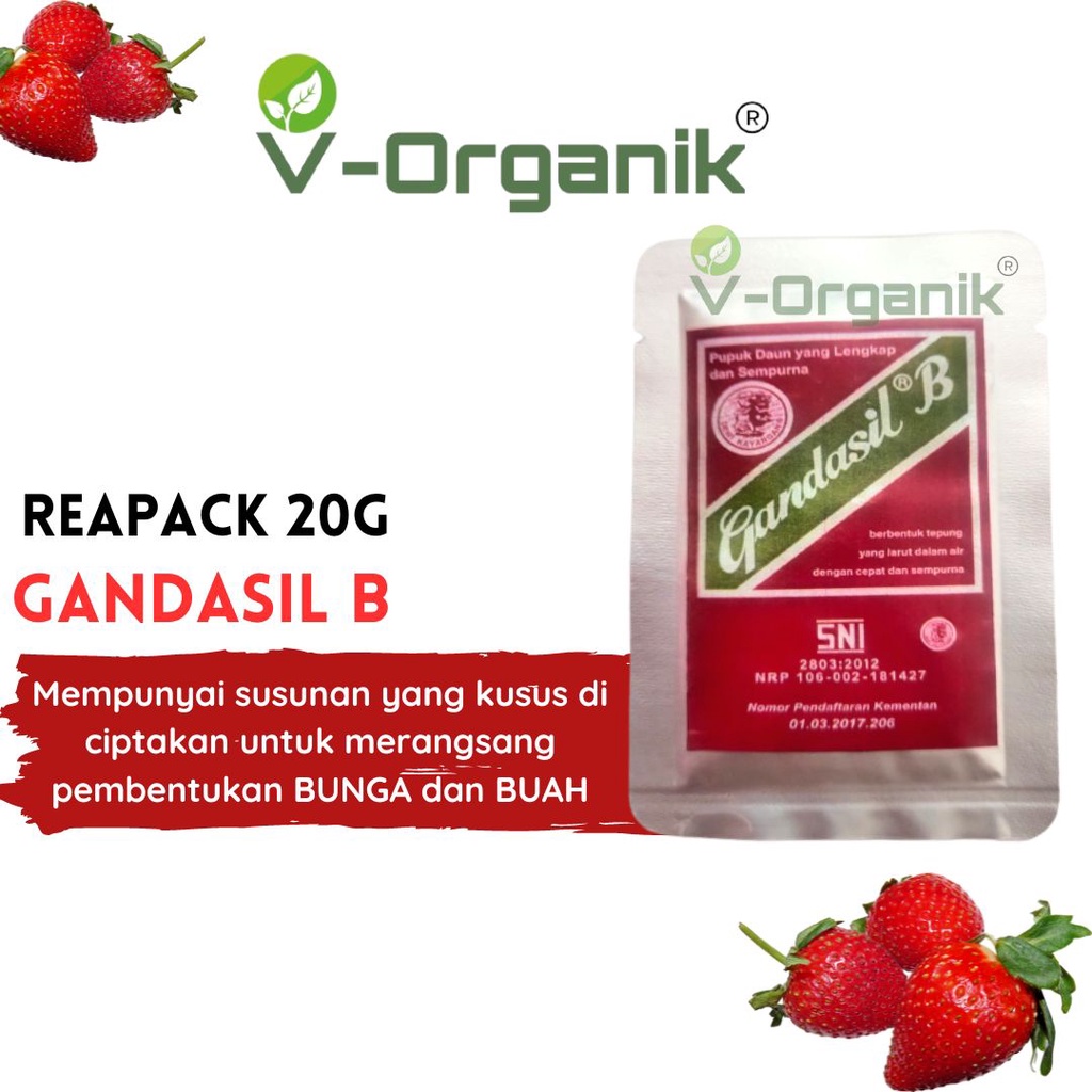 PUPUK BUAH DAN BUNGA GANDASIL B REAPACK 20G