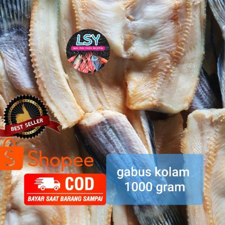 

☞ ikan asin gabus kolam size besar 1kg ♪