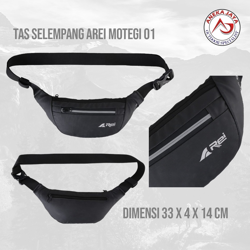 TAS WAIST BAG AREI MOTEGI 01