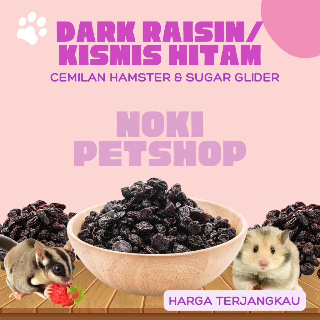 [BISA COD] CEMILAN HAMSTER KISMIS BLACK RAISINS SNACK MAKANAN SUGAR GLIDER EXTRA FOOD PAKAN