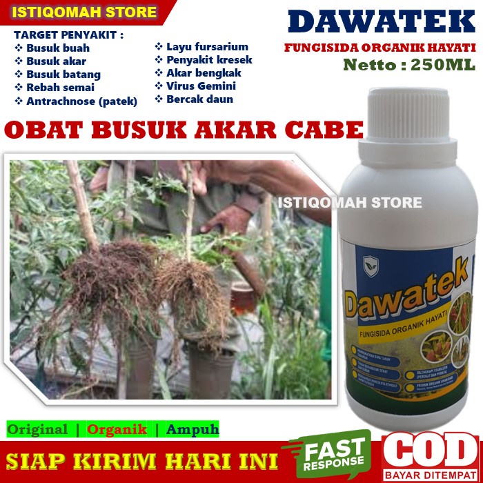 Obat Busuk Pada Akar Tanaman Cabe DAWATEK 250ML Fungisida Obat Layu Fusarium Busuk Daun Busuk Buah, Obat Busuk Buah Cabe Keriting Paling Ampuh, Obat Tanaman Cabe Busuk Buah, Obat Cabe Busuk Kering, Obat Busuk Buah Cabe,Obat Busuk Batang Tanaman Cabe Rawit