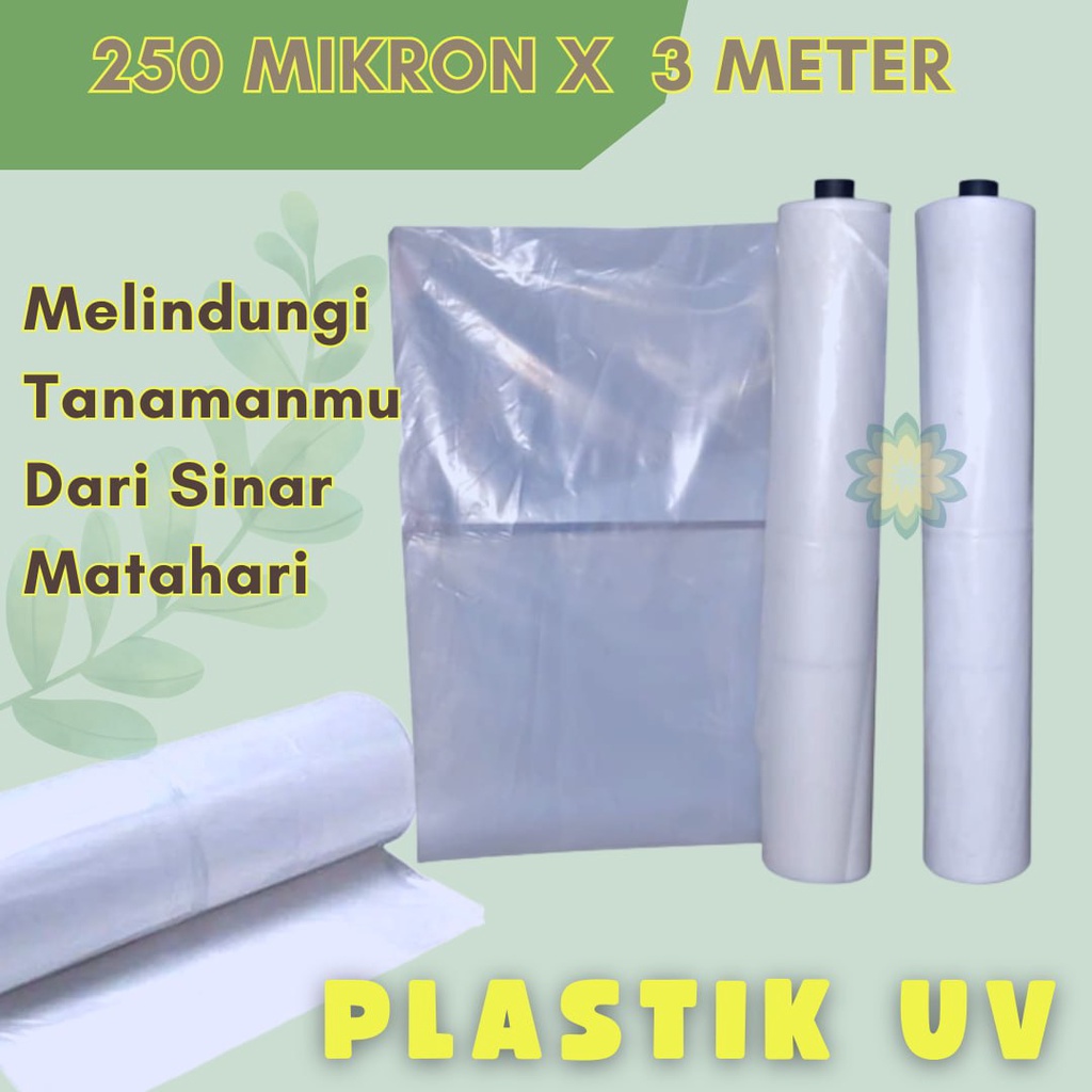 Plastik UV 250 Micron Lebar 3 Meter 14% Plastik UV Green House