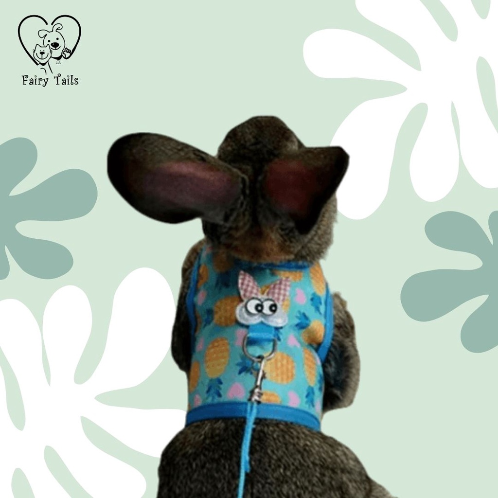 Harness dan Tali Tuntun Kelinci Adjustable Untuk Outing Aktivitas Outdoor Model Rompi / Soft Breathable Harness and Adjustable Leash for Rabbits