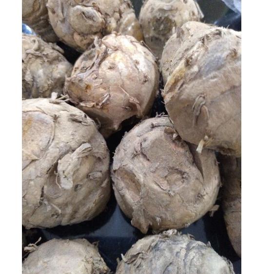 

✦MURAH LEBAY✦ BIANG KUNYIT SEGAR 1KG