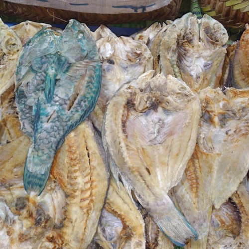 

Ikan Asin Kakatua 1Kg Gurih!
