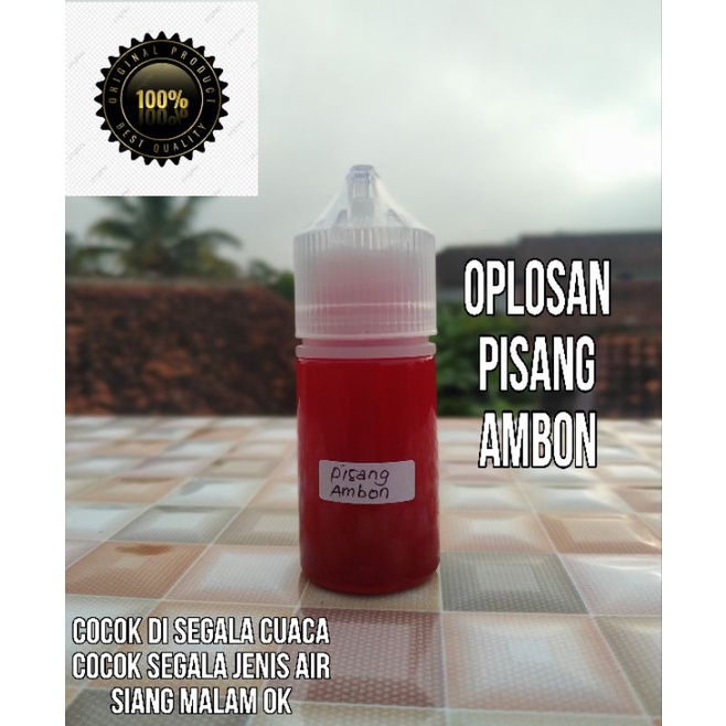 Essen ikan mas oplosan pisang ambon