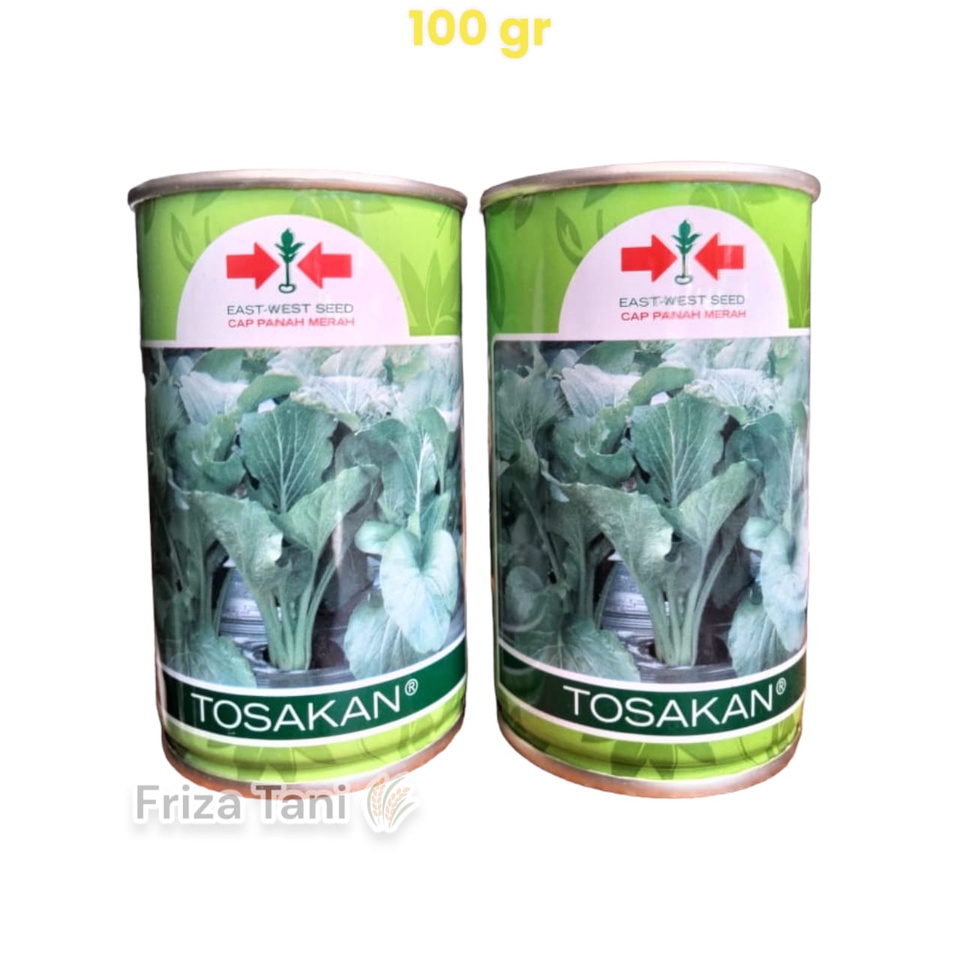 Benih Bibit Sawi Cesin TOSAKAN 100gr Kemasan kaleng Panah Merah PT. East West Seed Indonesia