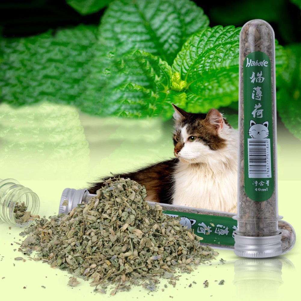 Catnip Tube Tabung 40ml Penenang Kucing Dijilat Kucing  PURE CATMINT POWDER - BIKIN FLY KUCING