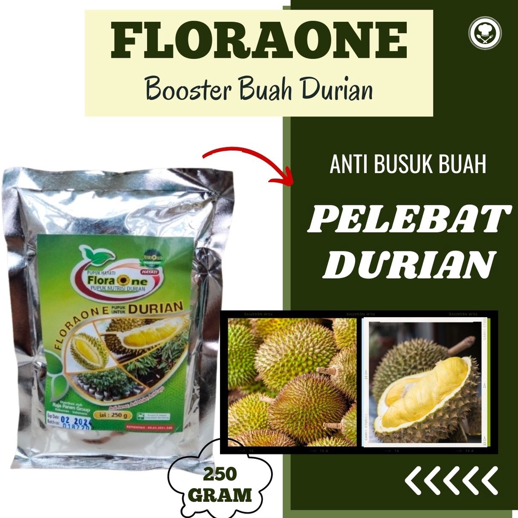 Booster Durian Perangsang Buah Durian, Boster Durian Untuk Pembungaan Tanaman Booster Buah