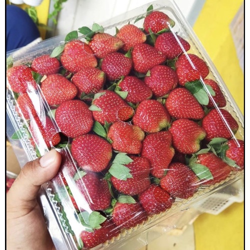 Buah Strawberry Fresh dari Kebun Premium Grade A Kemasan 1 Kg (Khusus Gosend)