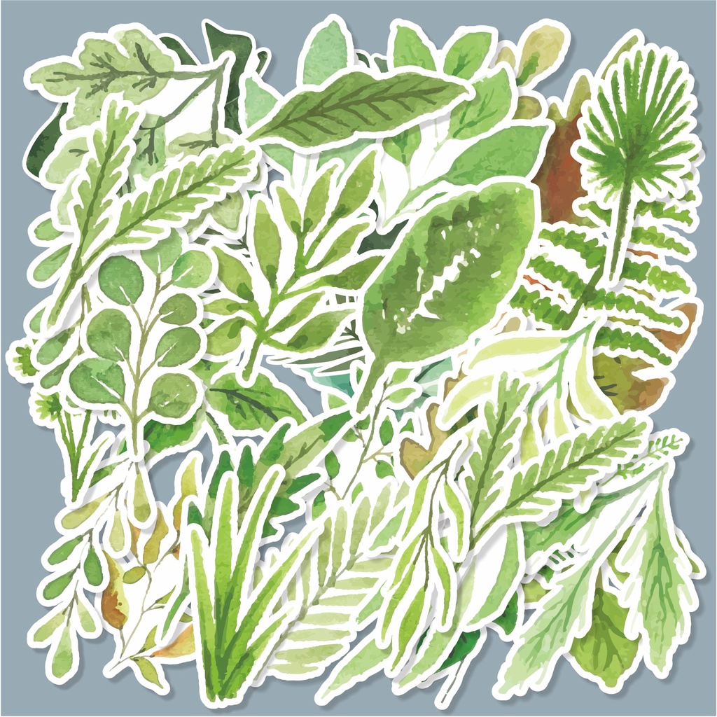 

( 20 pcs )stiker random satuan murah/bisa cutting/tema DAUN-watercolor