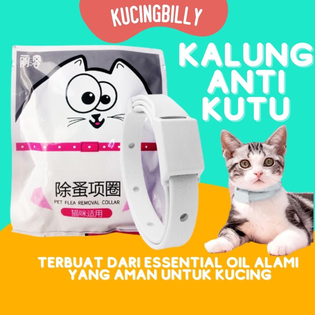 Flea removal collar antikutu kucing