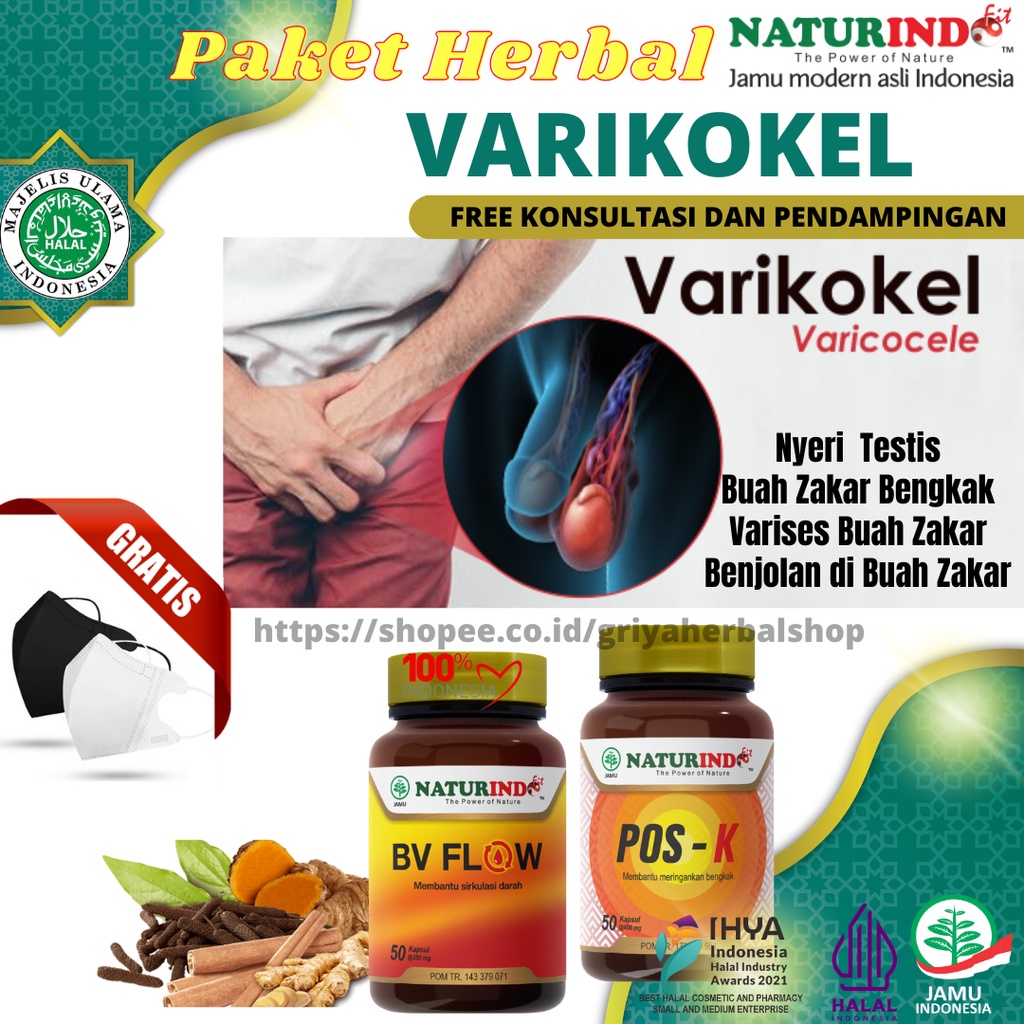 Obat Varikokel Azoospermia Turun Berok Obat Hernia Obat Buah Zakar Nyeri Dan Bengkak Obat Testis Nye