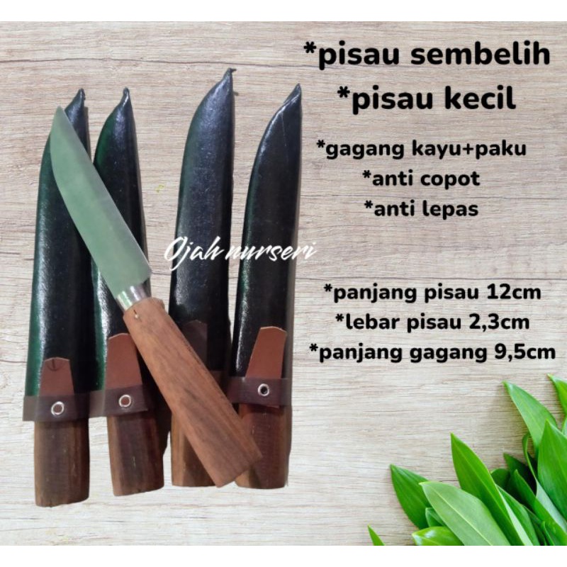 Pisau kecil gagang kayu