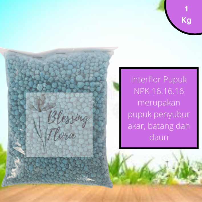NPK 16 16 16 Repack 1Kg Interflor