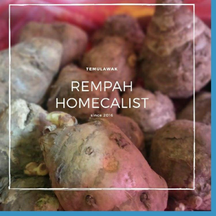 

✨11.11✨ Temulawak 1kg Temulawak Segar Curcuma