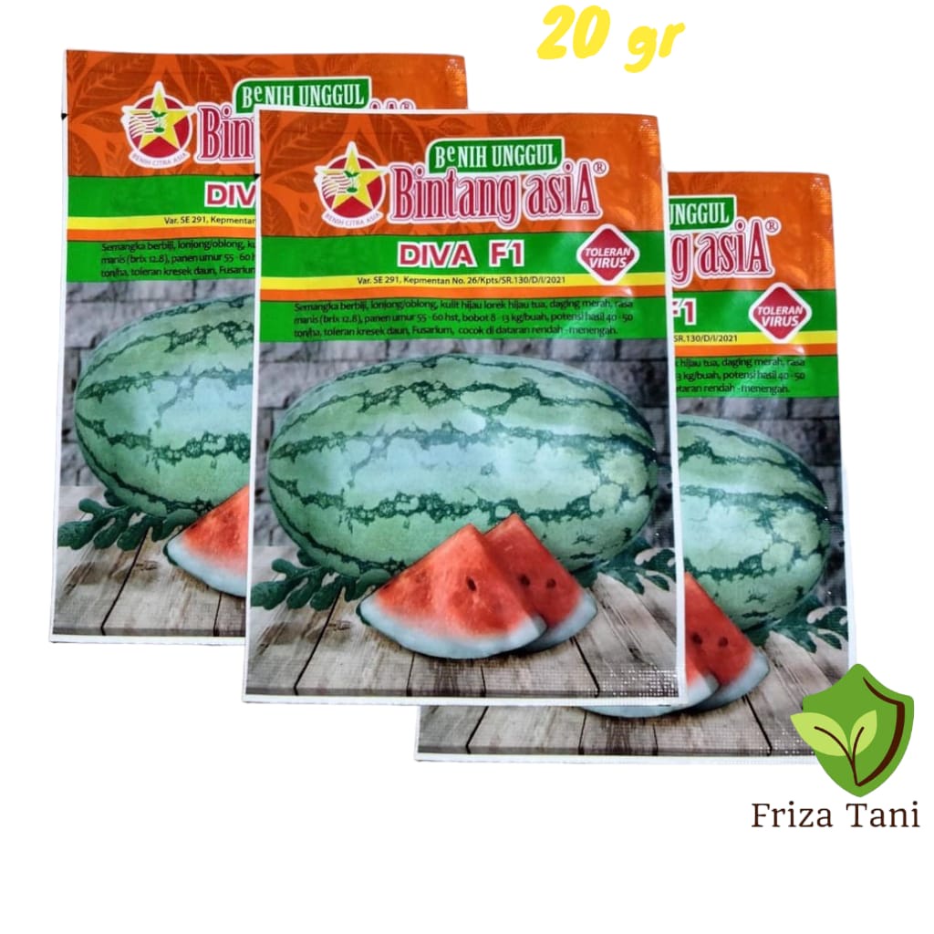 Benih Bibit DIVA F1 20gr Semangka Inul Lonjong Bintang Asia PT Benih Citra Asia Amara