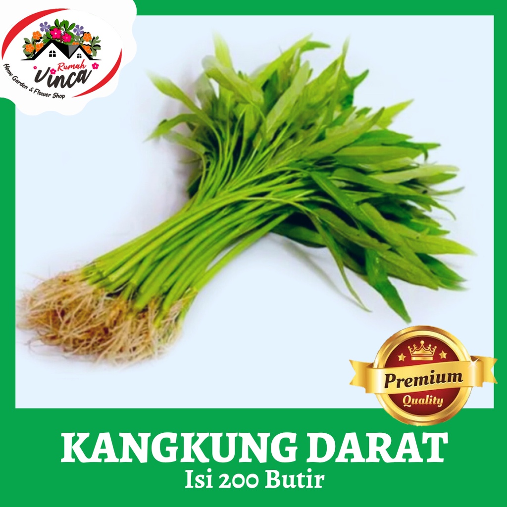 Benih Kangkung Darat Kangkung Bangkok Kangkung Cabut 200 Butir