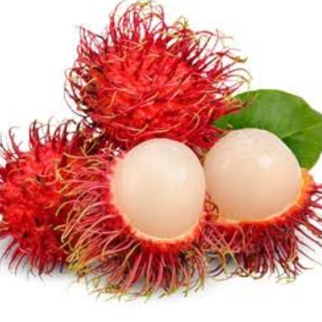 Pupuk Booster Rambutan Organik Pelebat Buah Dan Anti Rontok 250gr