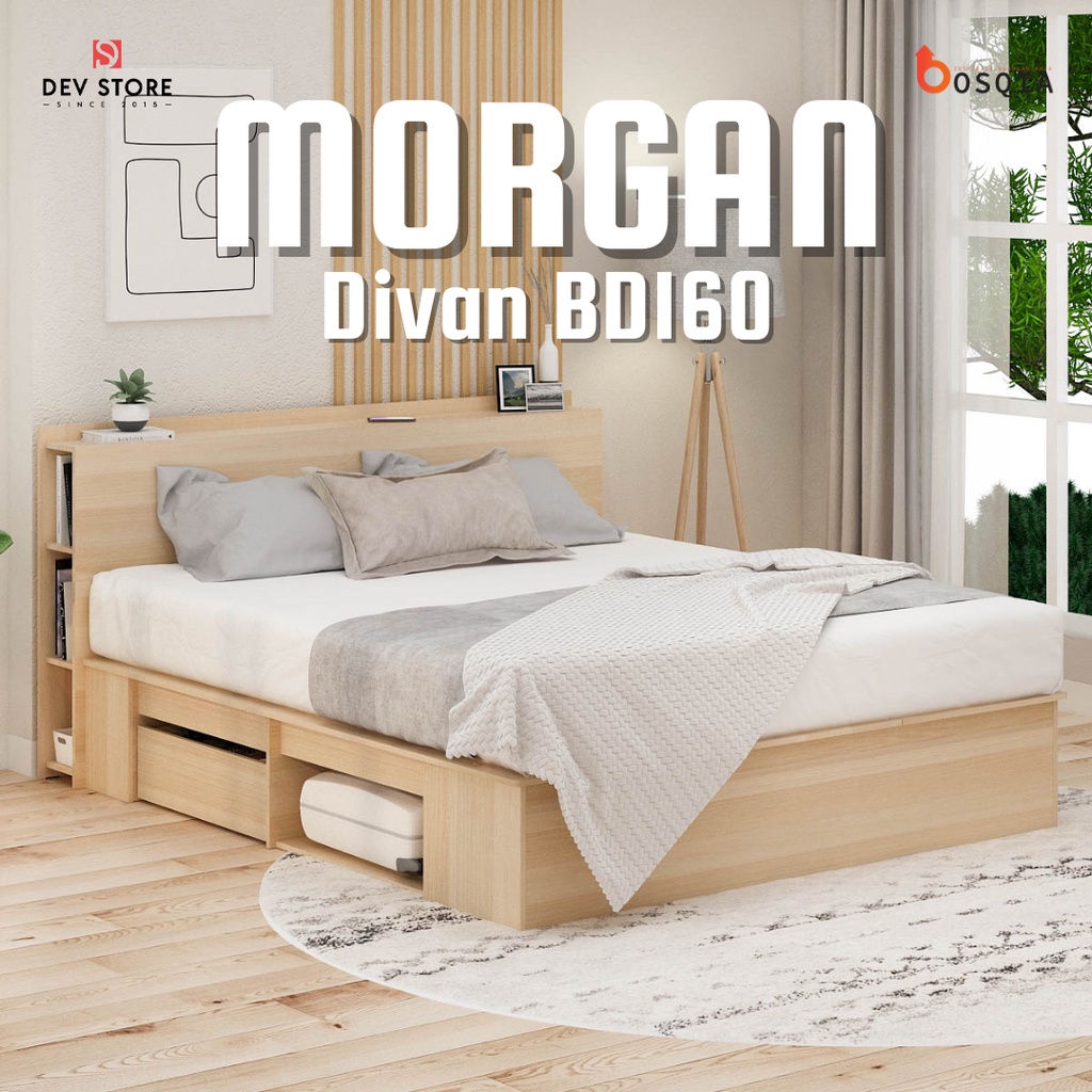 Divan Serbaguna / Tempat Tidur Dengan Laci Penyimpanan / MORGAN BD160