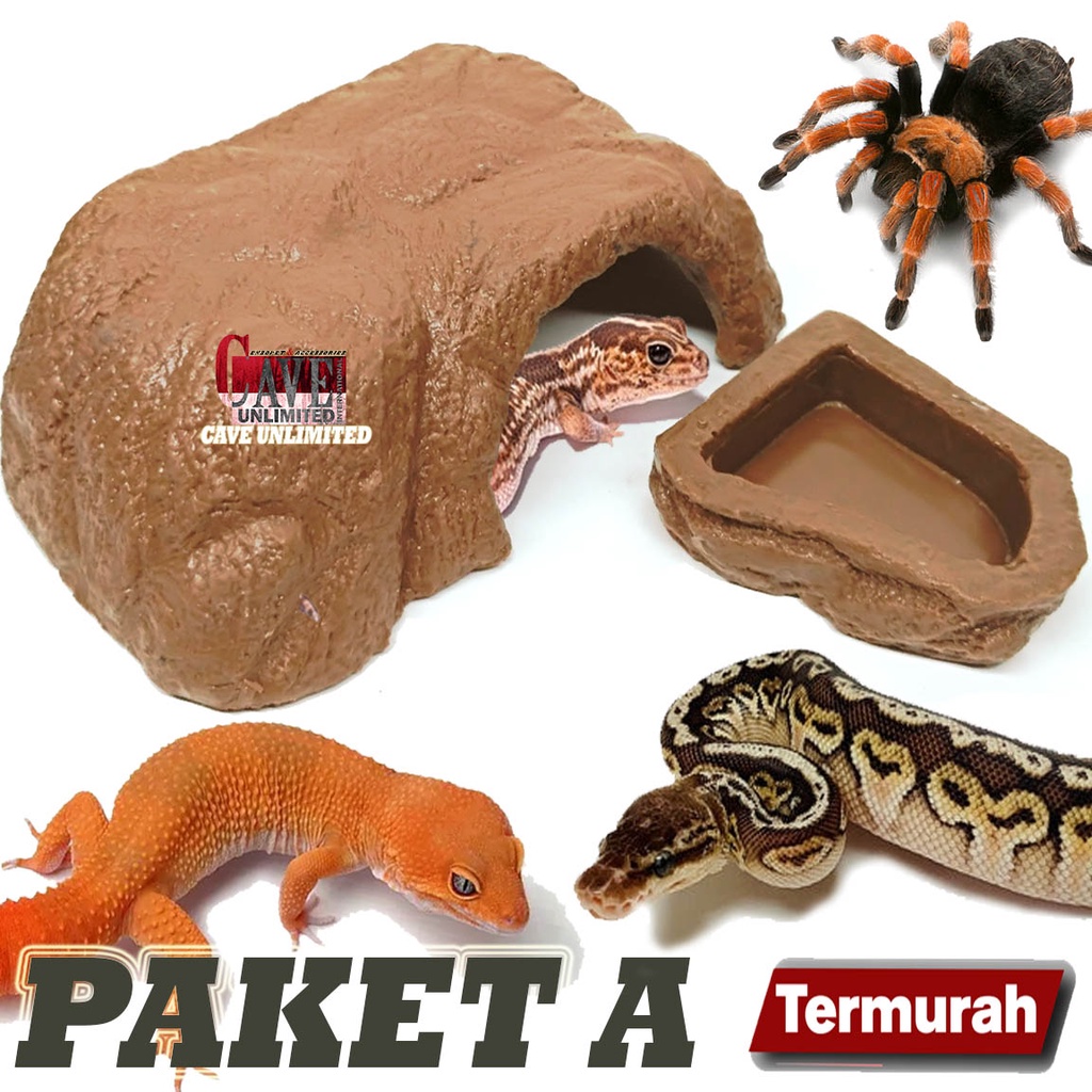 PAKET HIDING CAVE TYPE A MURAH MERIAH RUMAH TEMPAT SEMBUNYI REPTILE KADAL TOKEK GECKO TARANTULA KALA