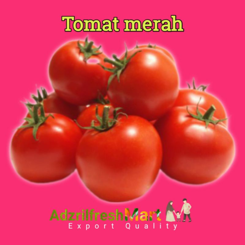 

TOMAT MERAH SEGAR PREMIUM