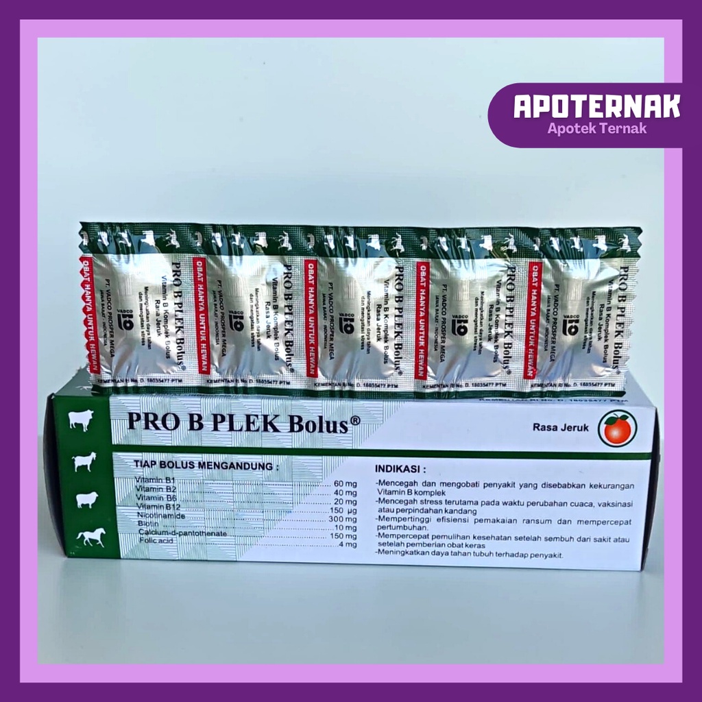 PRO B PLEK 1 Box Isi 50 Bolus | Vitamin B komplek Untuk Meningkatkan Daya Tahan dan Mengatasi Stres Pada Hewan Sapi Kambing Domba Kuda | VADCO | Apoternak