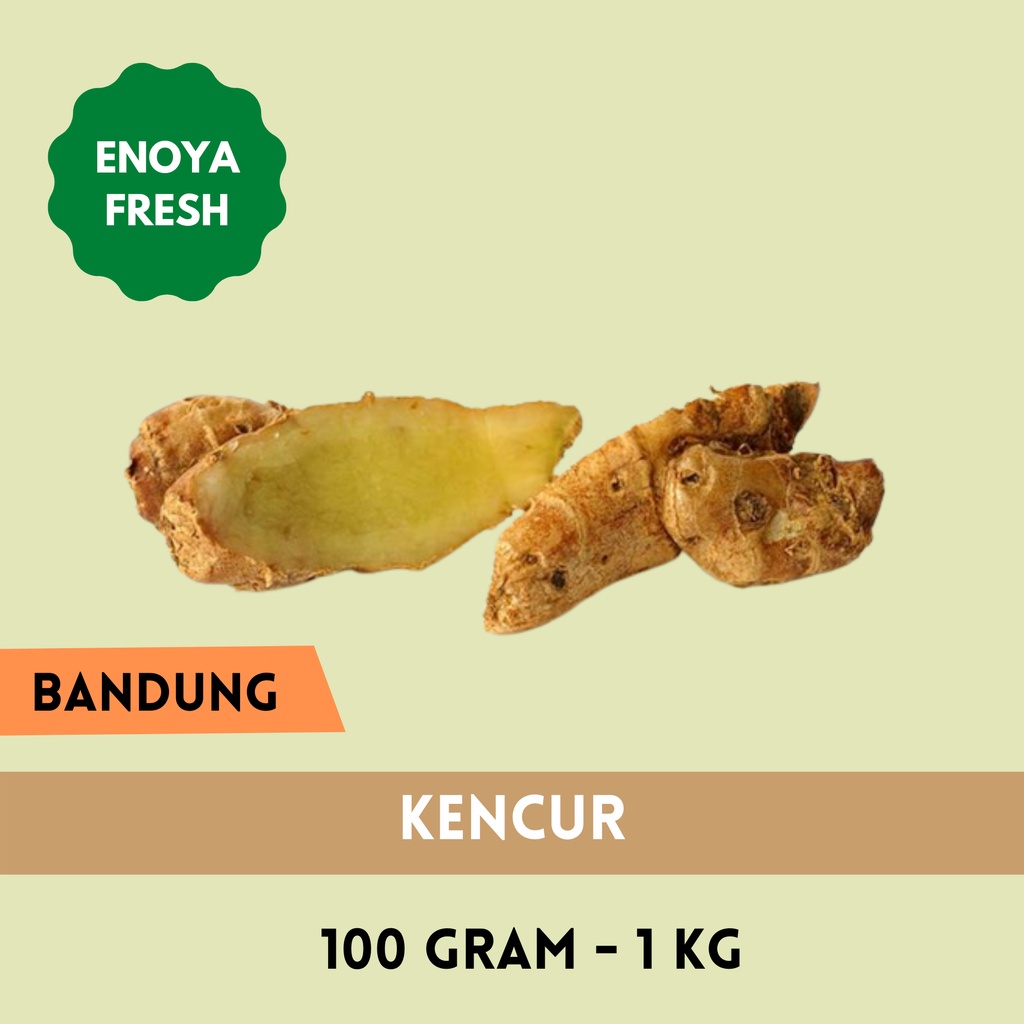 

Kencur 100 gr - 1 kg Bandung