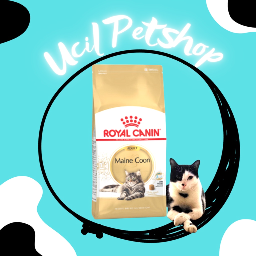 Royal Canin Adult Mainecoon Dry Food (1)