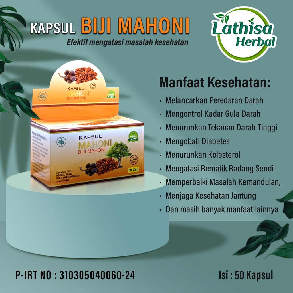 Biji Mahoni Kapsul 50 Kapsul Biji Mahoni Obat Herbal Alami