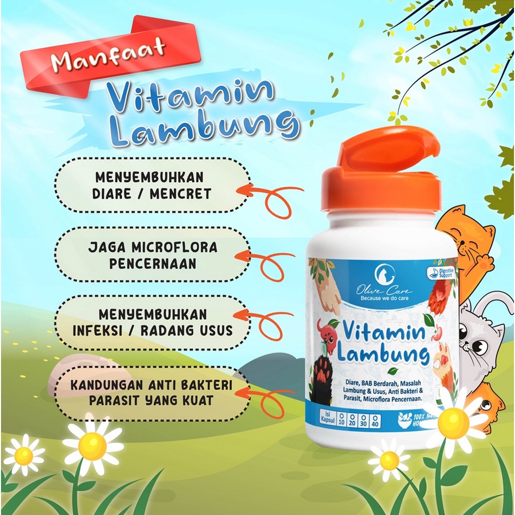 Olive Care Cat Vitamin Lambung - Kucing Masalah Pencernaan Untuk Diare, Mencret, Pup Berdarah dan Radang Usus