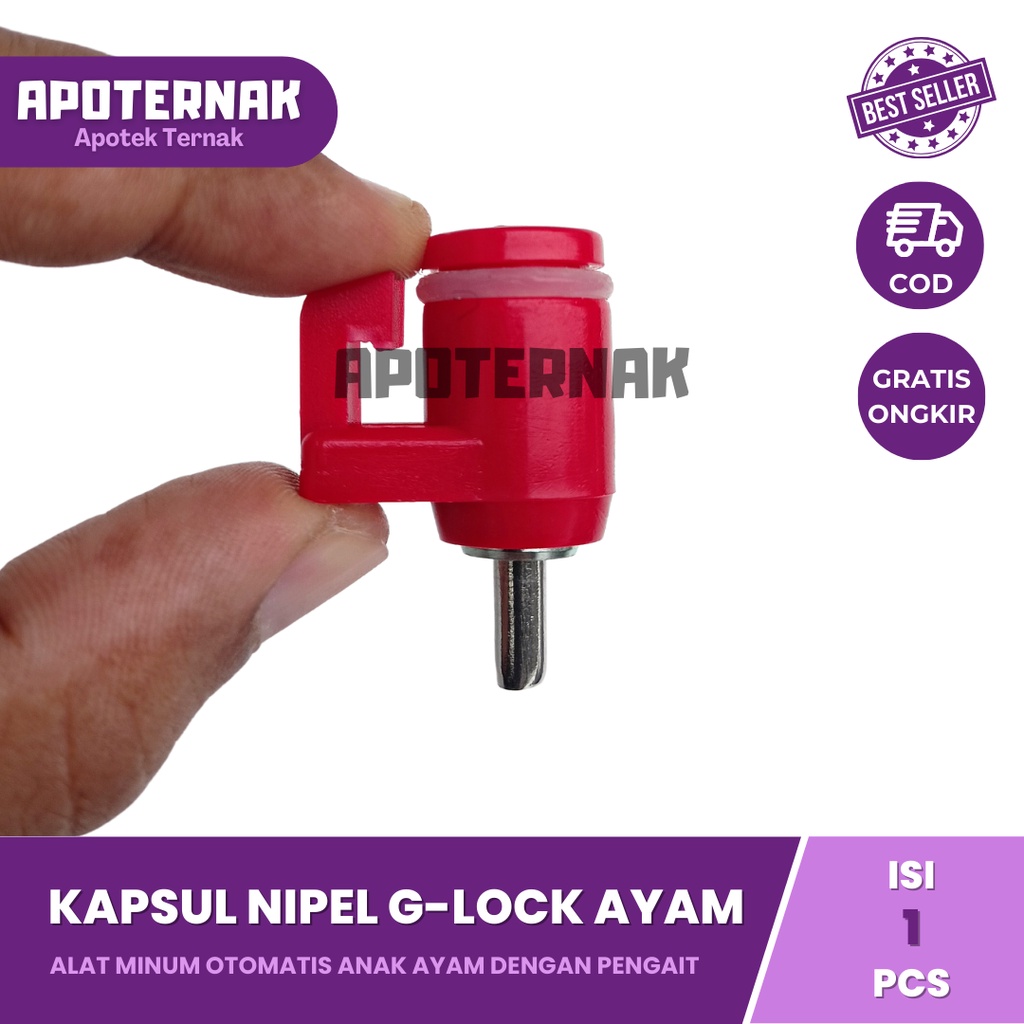 Kapsul Nipel Ayam kecil merah | Kapsul Nipple | Nipple Kapsul | Nipel Kapsul | Nipple Kapsul | G Lock J Lock | Kapsul A9, A5, A3