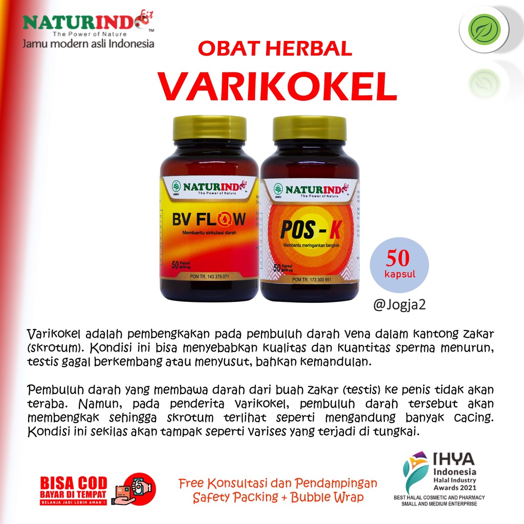 Pos K Naturindo Obat Herbal Varikokel Pembengkakan Turun Berok Naturindo