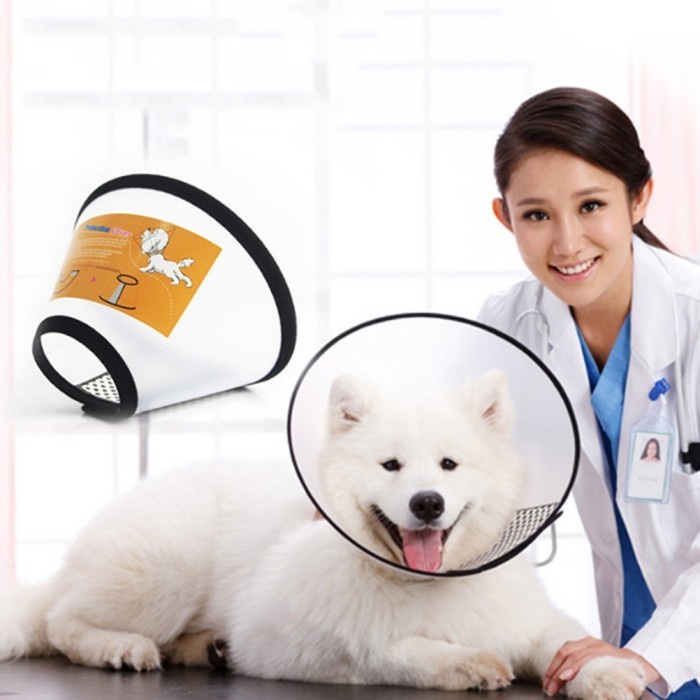 Collar Cone Guard Large - Pelindung Leher Anjing Besar Jumbo Neck Collar Large Dog Pet Protection Cone