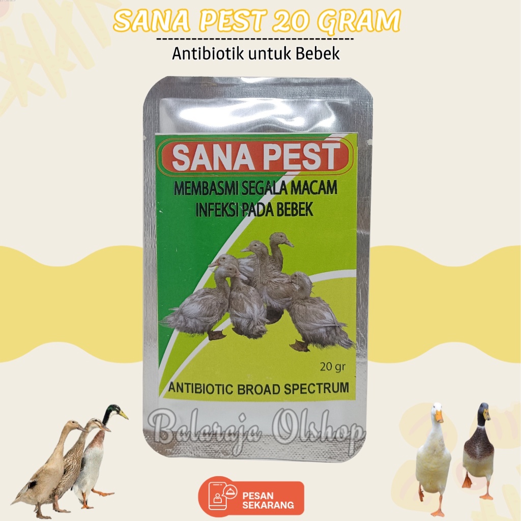 Anti Infeksi Bebek - Sana Pest 20 Gram - Antibiotik Membasmi Semua Infeksi Virus Bakteri Jamur Pada Duck Unggas Itik