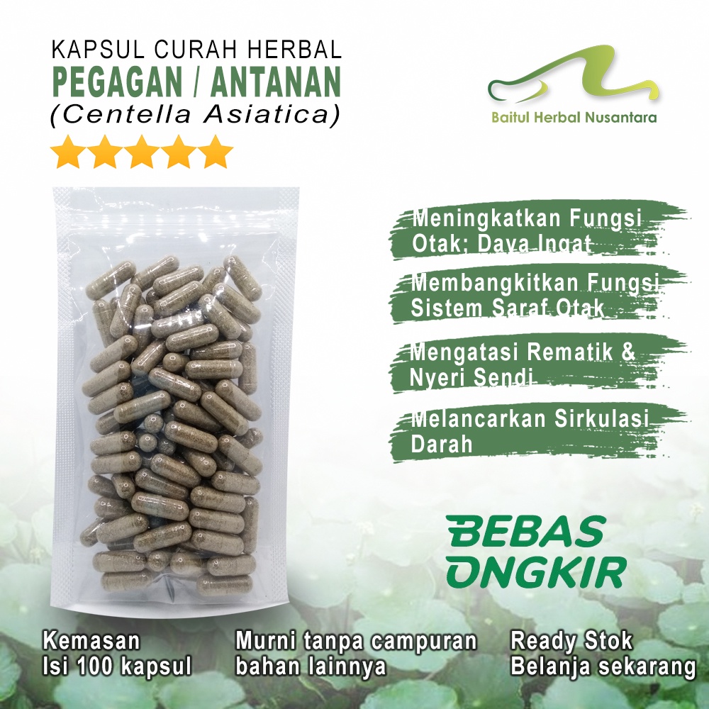 

PEGAGAN curah 100 kapsul Daya Ingat, Konsentrasi & Kecerdasan Rematik & Nyeri Sendi Wasir Flu & Sinusitis Keloid