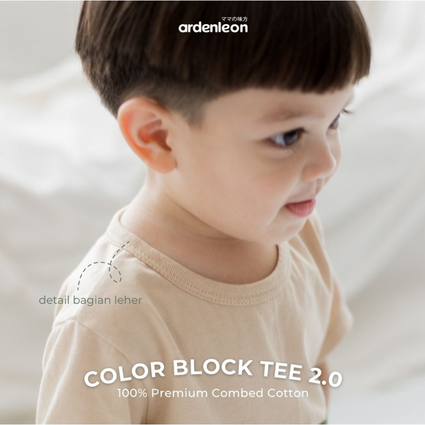 Ardenleon Color Block Tee 6M - 7Y Kaos Stripe Mix Color Anak Unisex CBKS