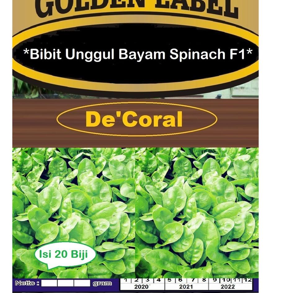 >XG34448< Bibit Unggul Bayam Spinach F1 | Benih Bayam Brazil