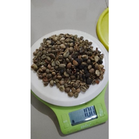 

Green Bean Robusta (Asalan)