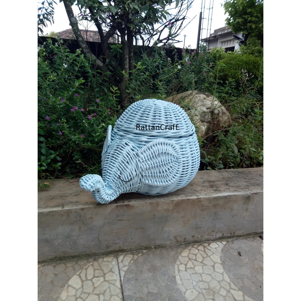 Rotan Kepala Gajah Tipe 4 / Karakter Rotan Gajah