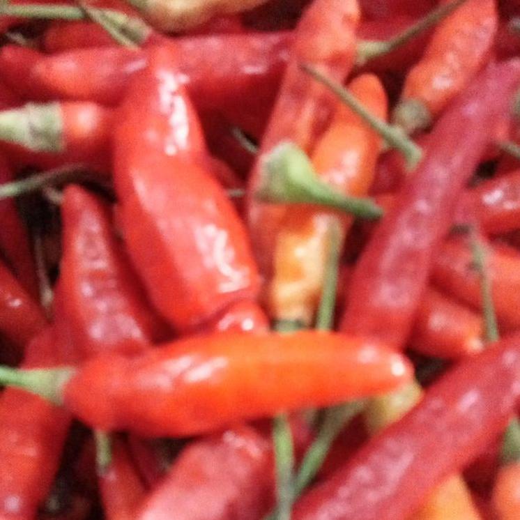 

12.12 Brand CABAI RAWIT MERAH 1KG FRESH serbuuu !