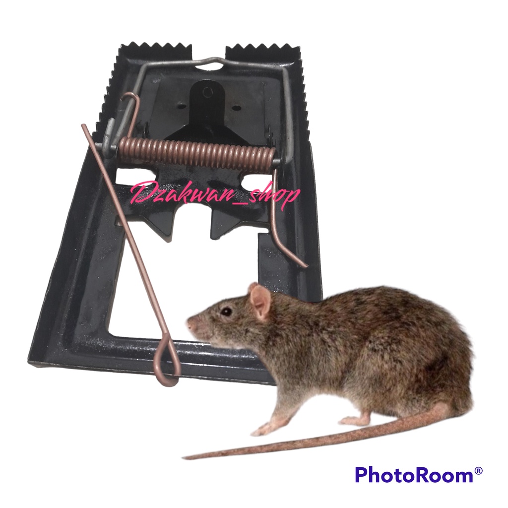 Jebakan Tikus Besi Termurah/ Jebakan Tikus Besi/ Jebakan Tikus Ampuh/ Jebakan Tikus Jepit/ Jebakan T