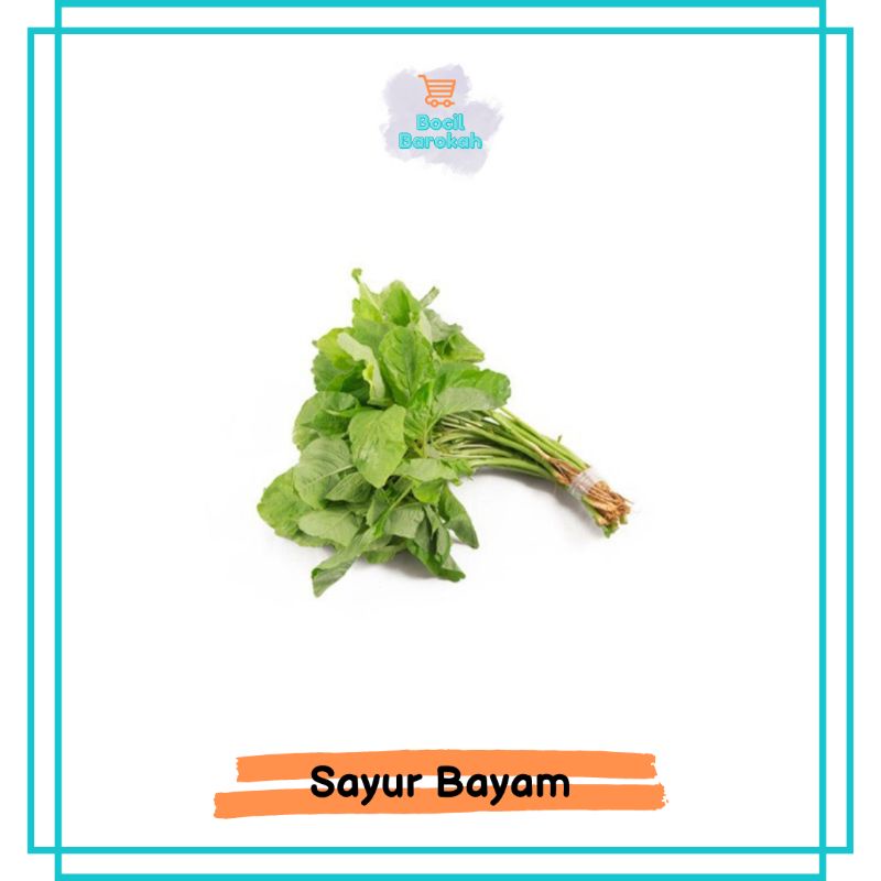 

SAYUR BAYAM 1 IKAT BOCIL BAROKAH
