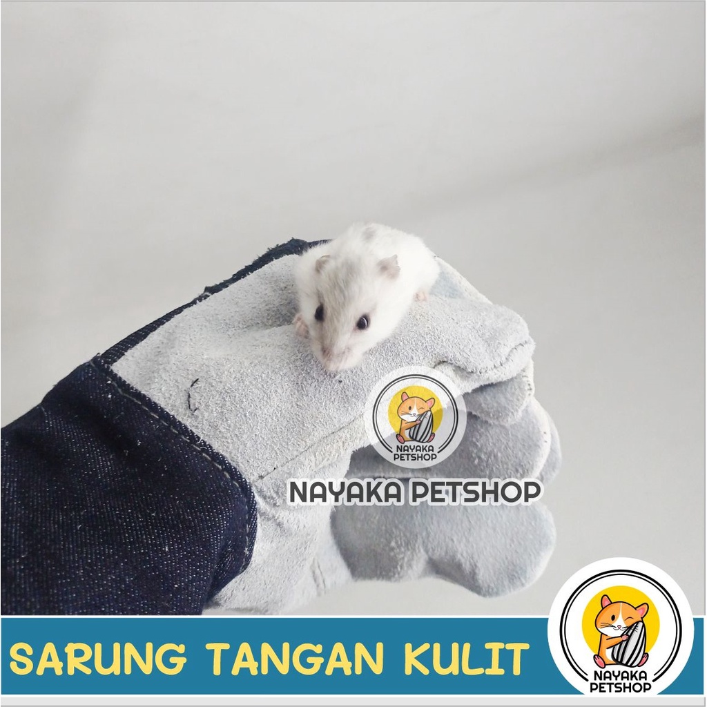 Sarung Tangan Kulit Anti Gigit Cakar Hewan Hamster Sugar Glider Kucing Musang