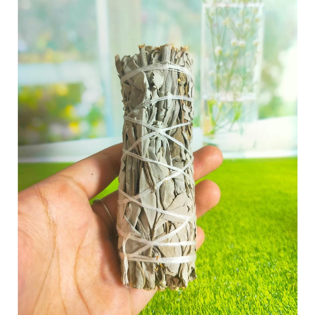 White Sage Smudge Stick Organic California Natural 10 Cm