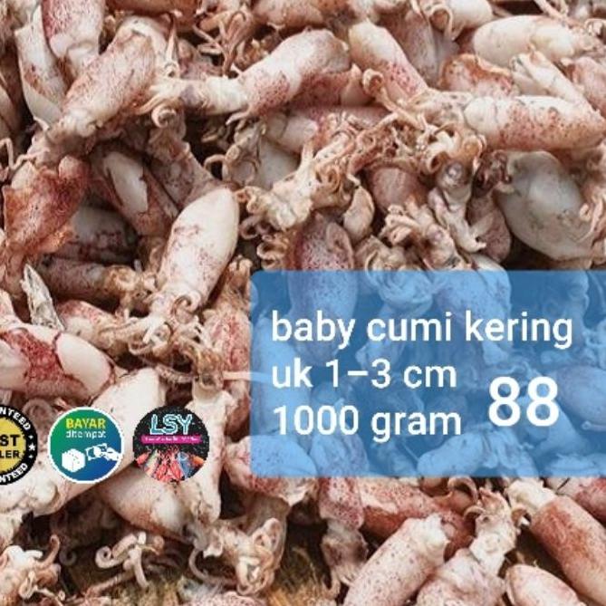 

✩ ikan asin baby cumi / cumi rebus kering 88 berat 1kg ✦