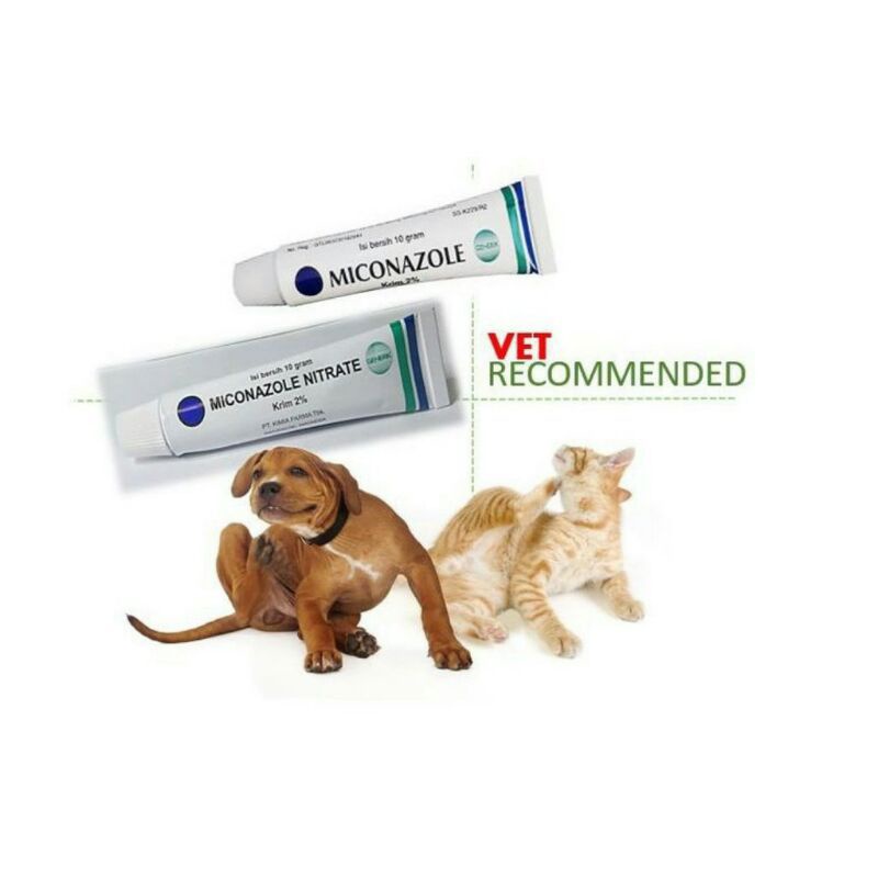 Salep Jamur/Kurap/Panu/Gatal-Gatal