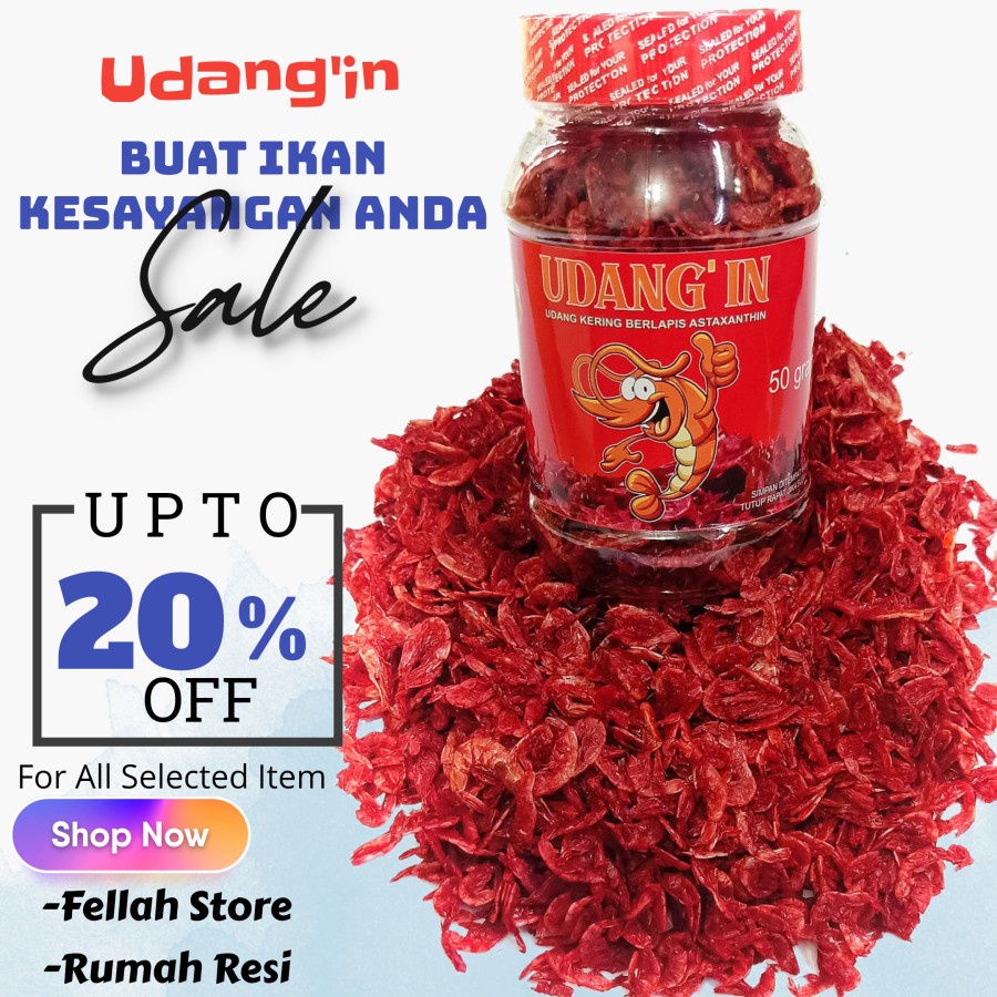 Udang Kering Pakan Ikan Channa Maru Yellow Sentarum Auranti Limbata Pulchra