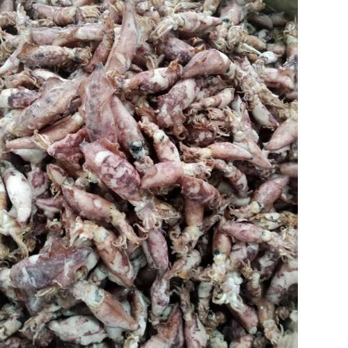 

☊ CUMI asin baby kering 1kg /cumi asin baby harga ekonomis ♠